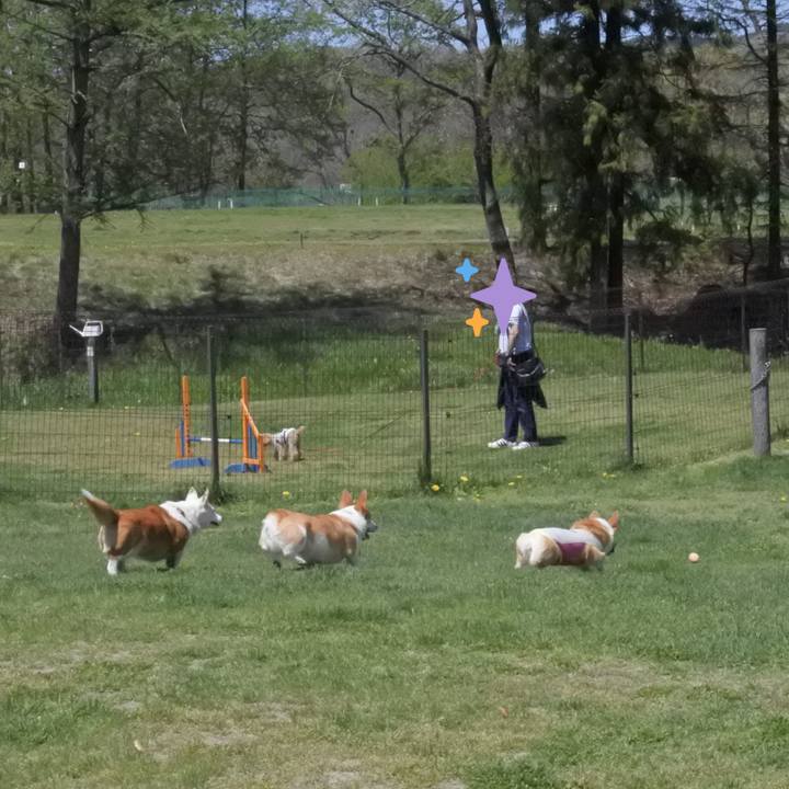 56fc1ea6 6aa7 47a8 837c fa88de0db538 1557537351602