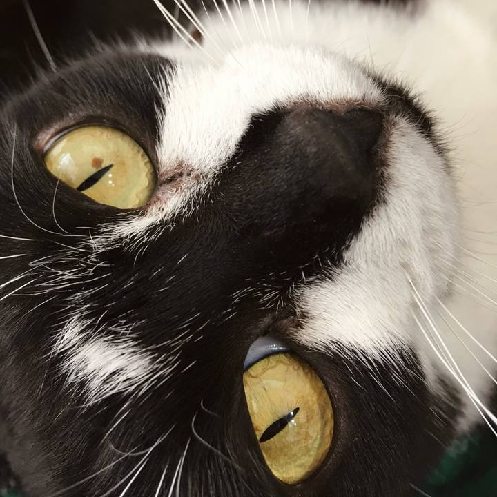 56fc536c a4e4 4a9e b813 6859455243d2 1763428557187