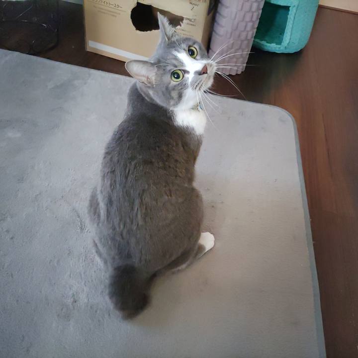 56fc5cee 9e1d 47a0 9fe0 aa76e31239b3 1713135497854