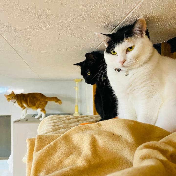 56fc9bad 57ff 46bb 8ada 156e8be0720d 1669121204797