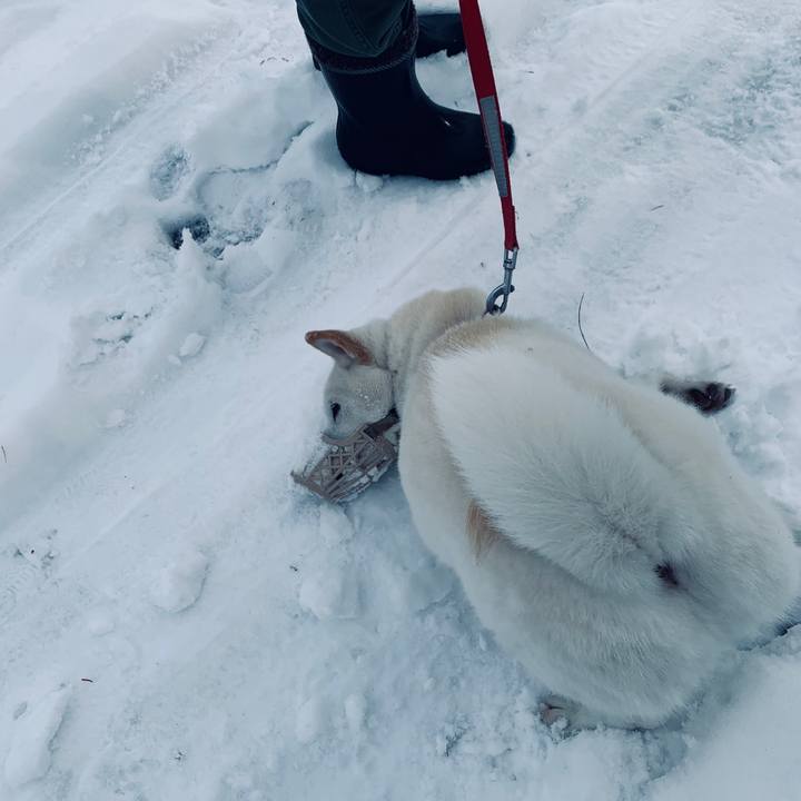 56fcbe2a 95d3 486d b3f3 3f92a8cd3c63 1574555707111