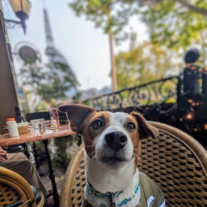 56fccd00 4f90 46cf 96e5 22392157a9bd 1744979379467