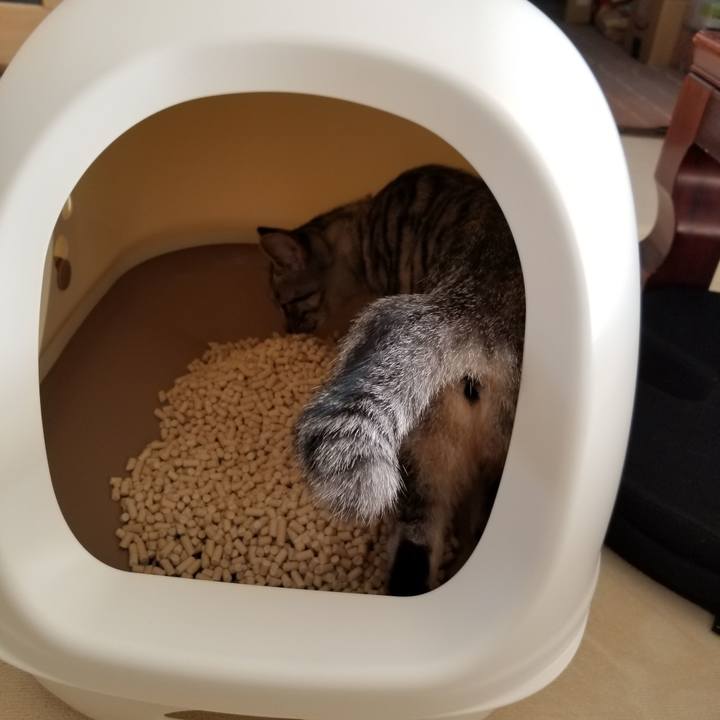 56fcea69 c98a 466b 8e1e 448e616aa720 1678322142283