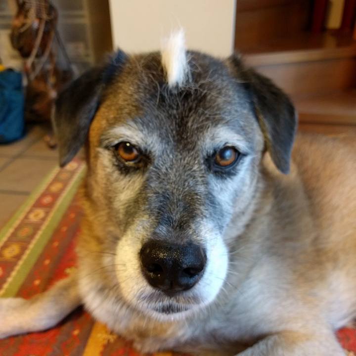 56fcec65 4817 42b4 a241 fff329981517 1535239835658