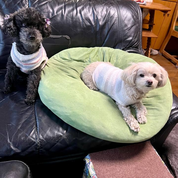 56fd1614 5f49 44fe afc0 feeb4e73ccf3 1769329310733