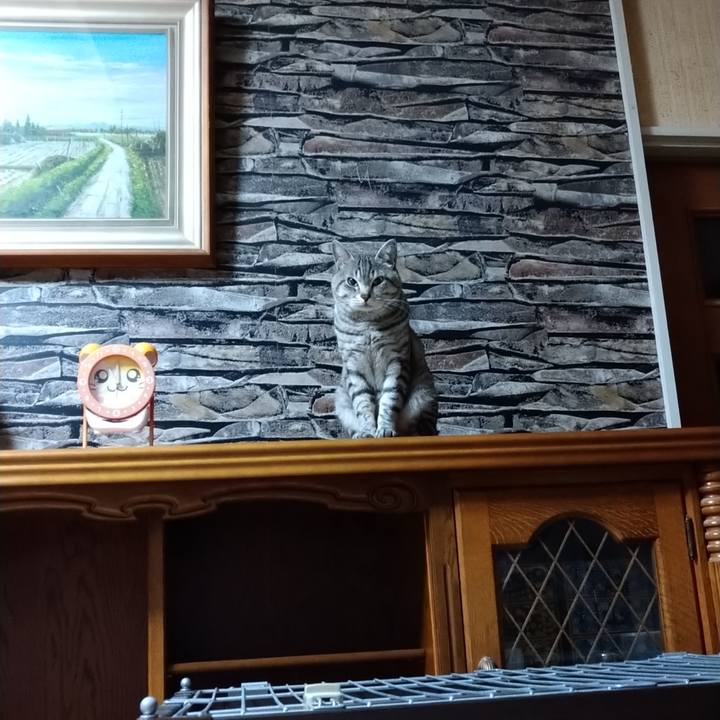 56fd2628 2a4d 43fb 9c24 f88b9adc3b28 1683037241955