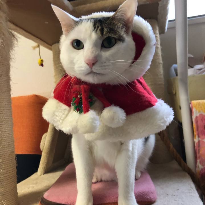 56fd3b6e 6c43 459b 9b6a 9f3b56bf9775 1608764397868