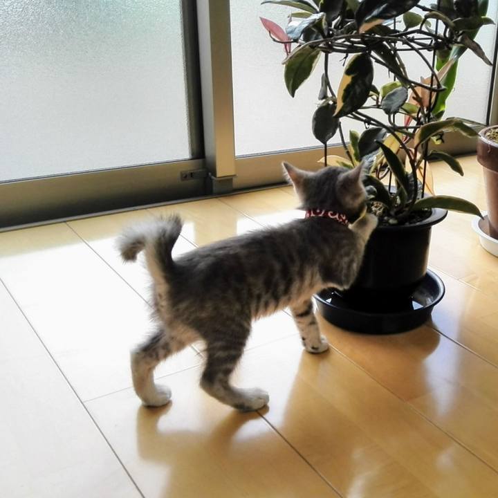 56fd5c5e af2a 4210 b59d ad298c3556d0 1686392856008