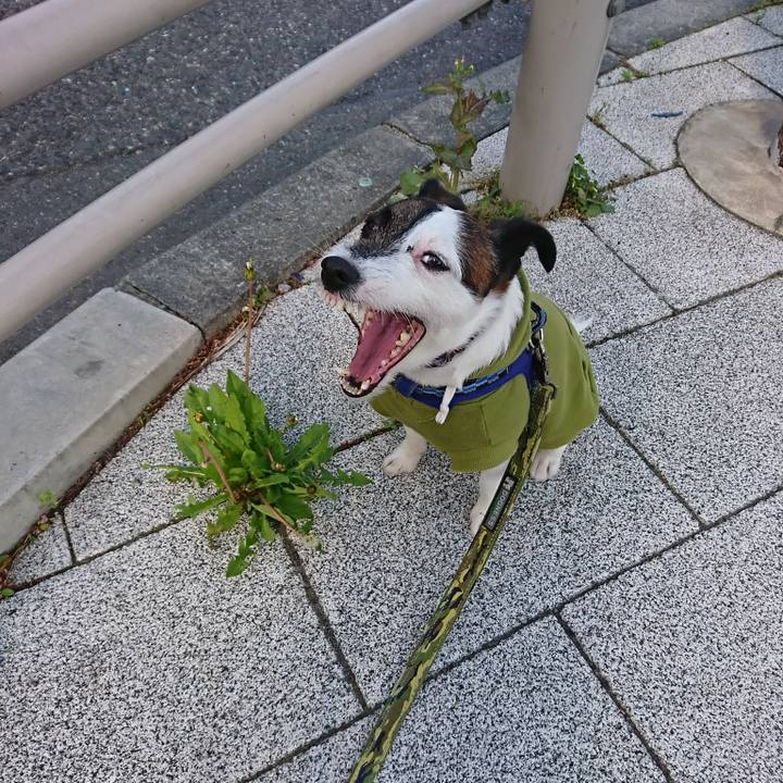 56fd9628 70b7 4184 b3d4 ee8fd56b5e0e 1523484766257