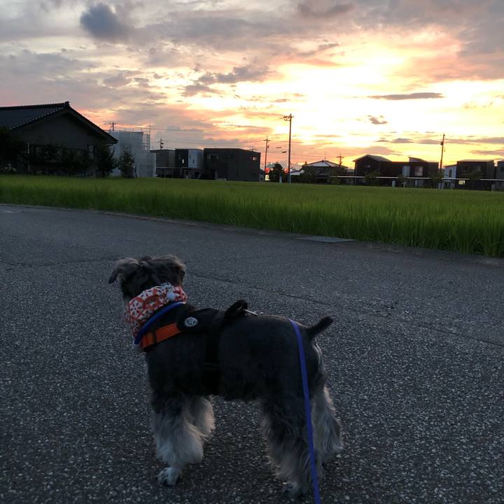 56fe0704 cc72 4afa b1ee 62b054040957 1691502171913