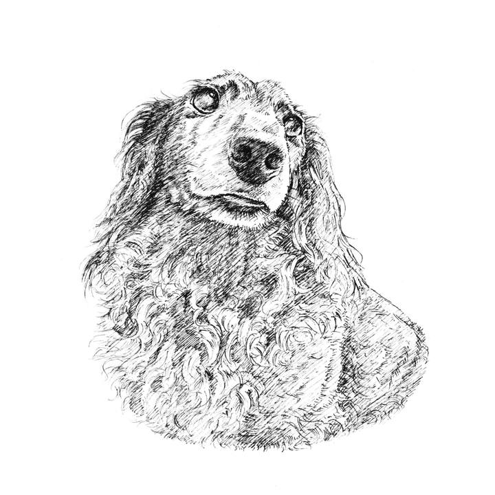 56fe0988 51ce 446d 85aa f858b31b5c4f 1607093479029