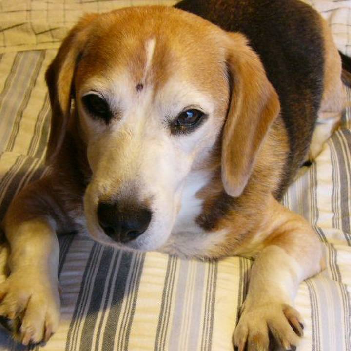 56fe22a0 23c6 4153 9833 4b244329e565 1646182922490