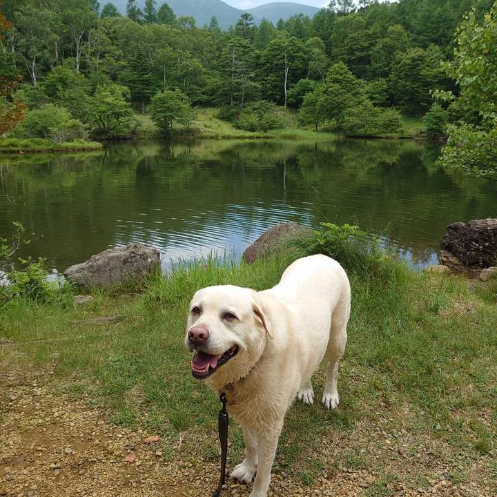 56fe4c52 edca 4377 bcab 2468595712de 1751690621180