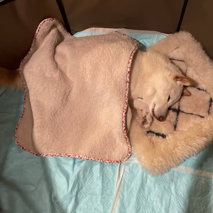 56fe884b 34af 4b03 b775 17fad921af79 1647954870746