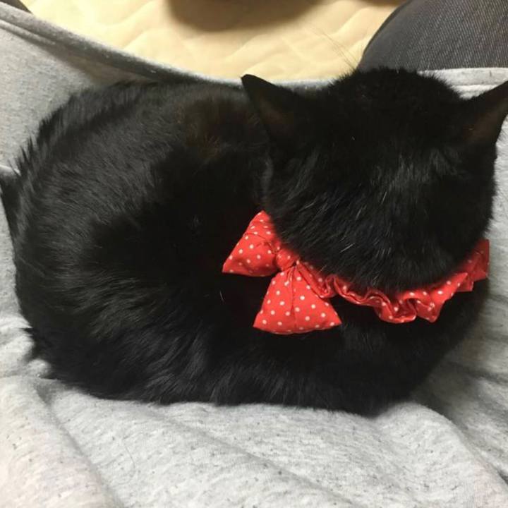 56fe8b84 6ccb 4bd8 b197 55a8d3be1c06 1613258595825