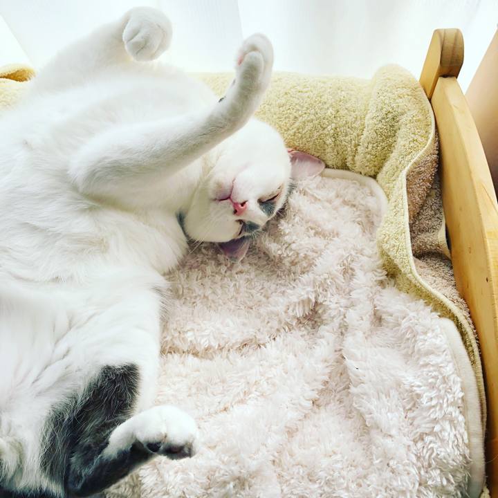 56fec2b0 6154 46bd a9ce a950cf997e05 1517886109587