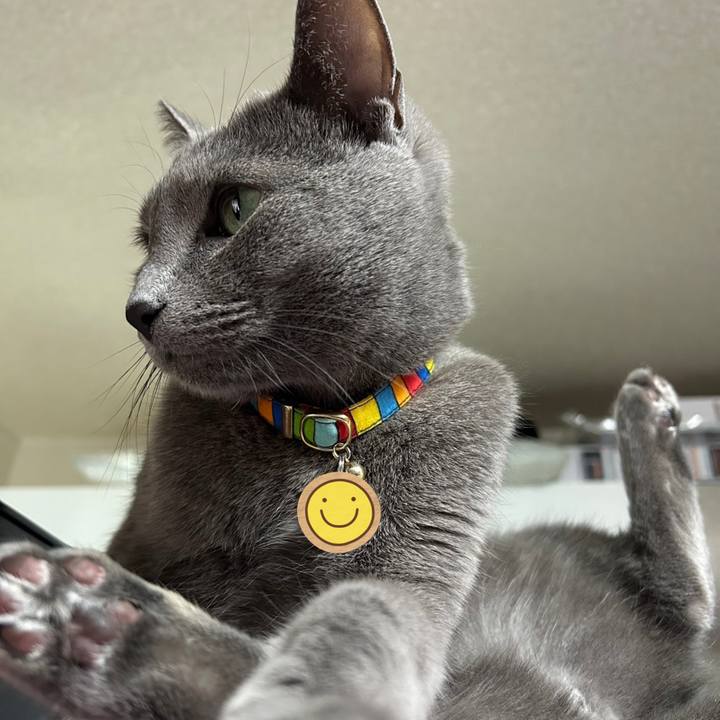 56fecddc f0de 4576 a91e 576fd788a17a 1678610366655