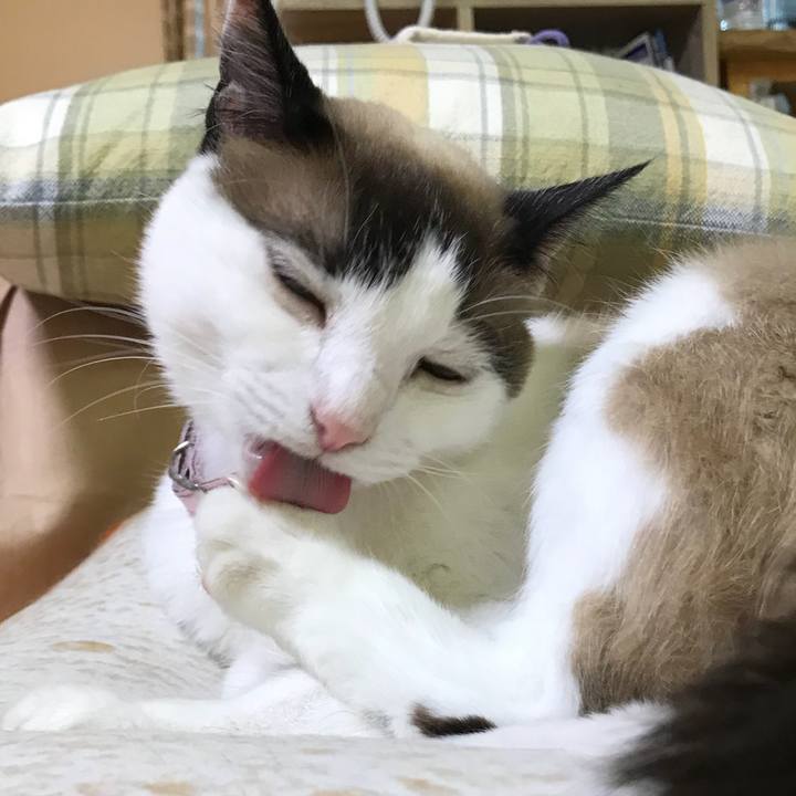 56ff28ba 0bdd 4ce0 b95d c1790fc7ad40 1531052235829