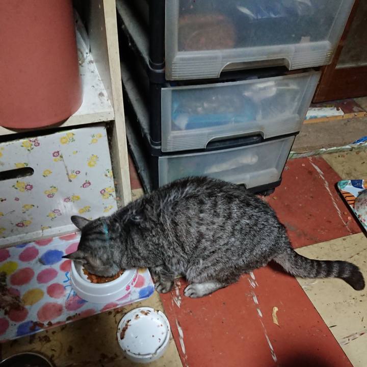 56ff2dc8 4bc5 47e6 921c 1c923329eb9f 1574193187821