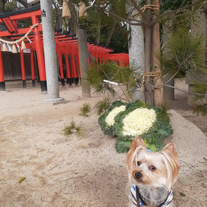 56ff4b40 1e76 446c 953f d75a98665516 1577916554905