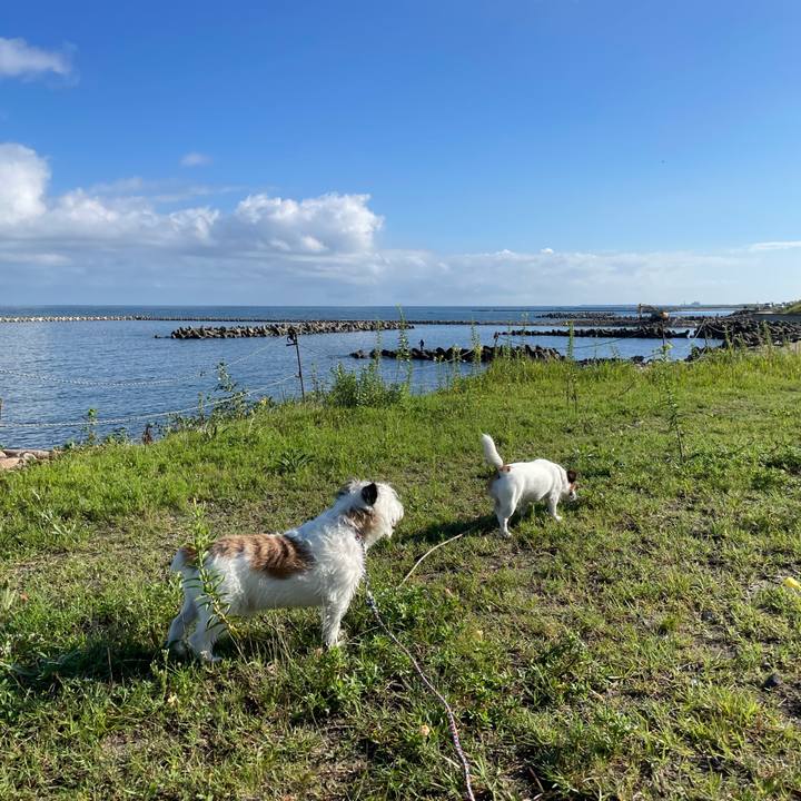 56ff4ca7 cee0 4070 a7a6 1bf1974ded56 1661037933856