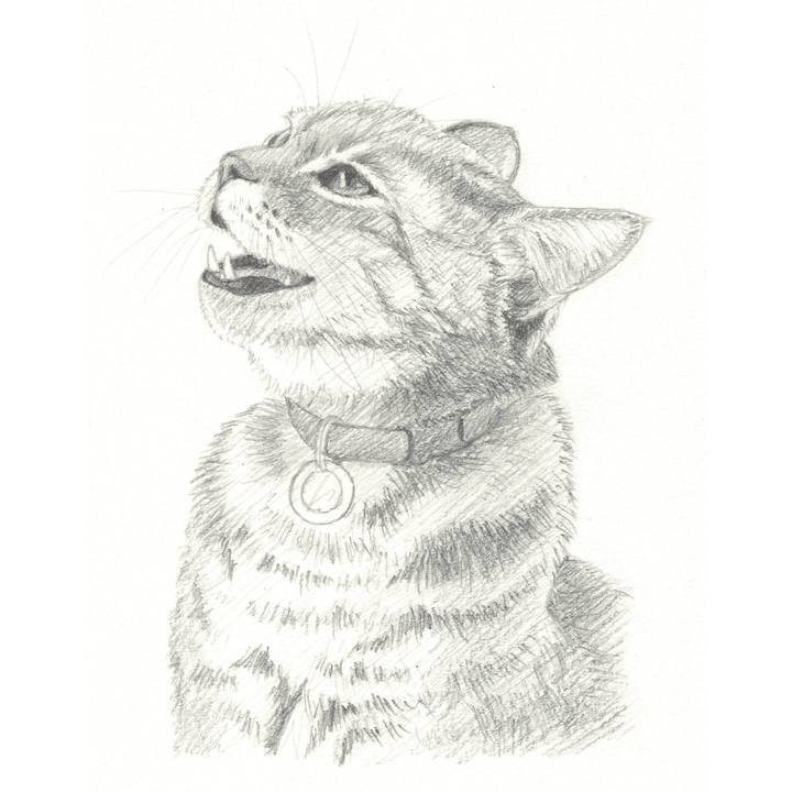 56ff6f3e 6a02 49bf 938b 9d96aaed80a0 1540297251968