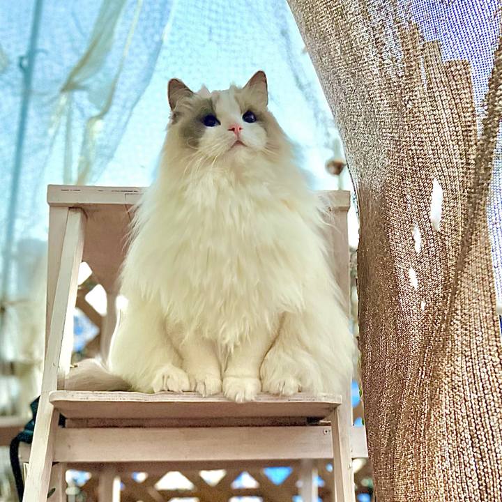 56ff9716 6fe9 407c b42d b2e47987efd8 1643890926046