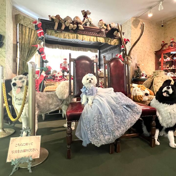 56ffc882 6a6f 401a 8b68 aefccfb95d7a 1686206131621