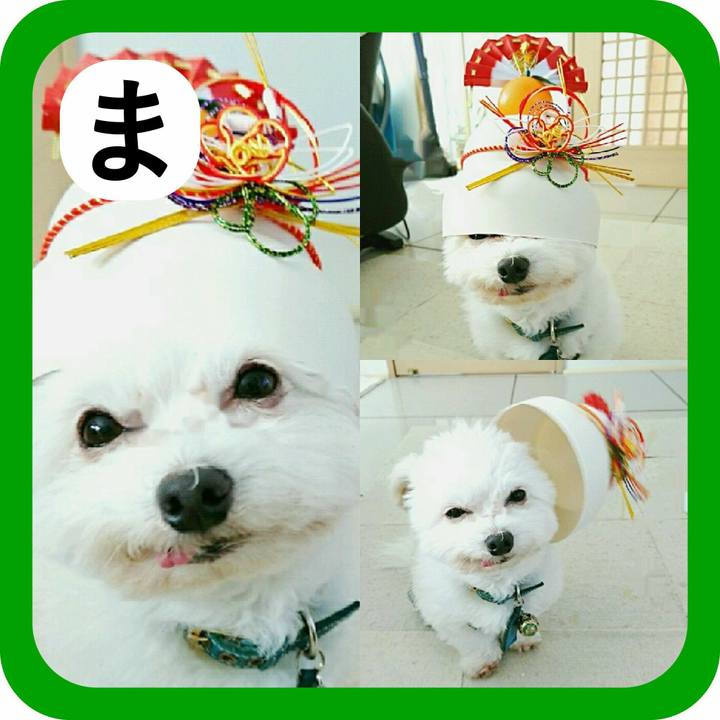 56ffd066 3a50 47e7 8b4d 77c8b5d71a0e 1515018792952