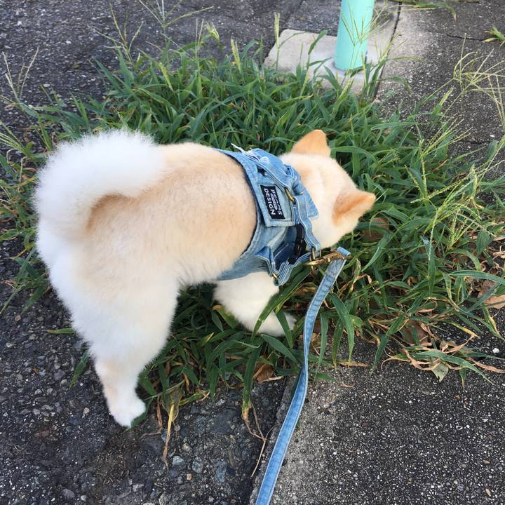 56ffd66a 0f7d 4098 aa8c 43269e7eab79 1597270043643