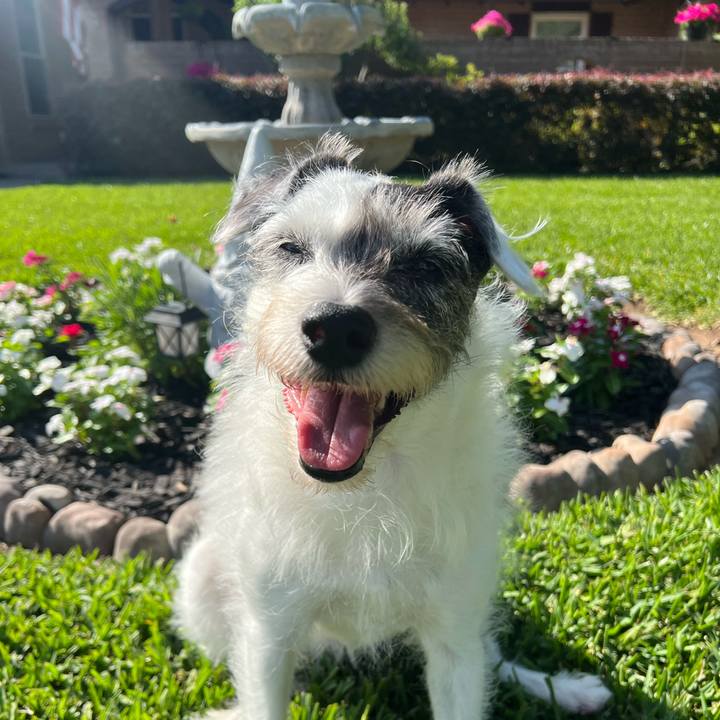 56ffd6ed 7d1e 4411 bdd9 eafd4069fe07 1682719820371