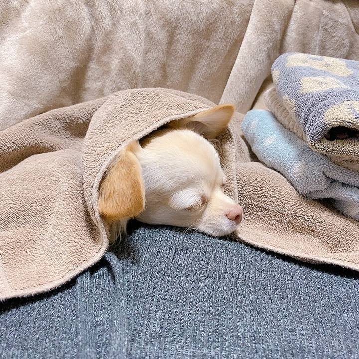 56ffe459 96c3 48be ac4d 5b8b188ae23e 1610162779768