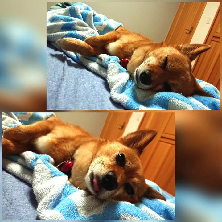 57000d2a beca 4a71 bbea 4ad94f2283ee 1625374067479