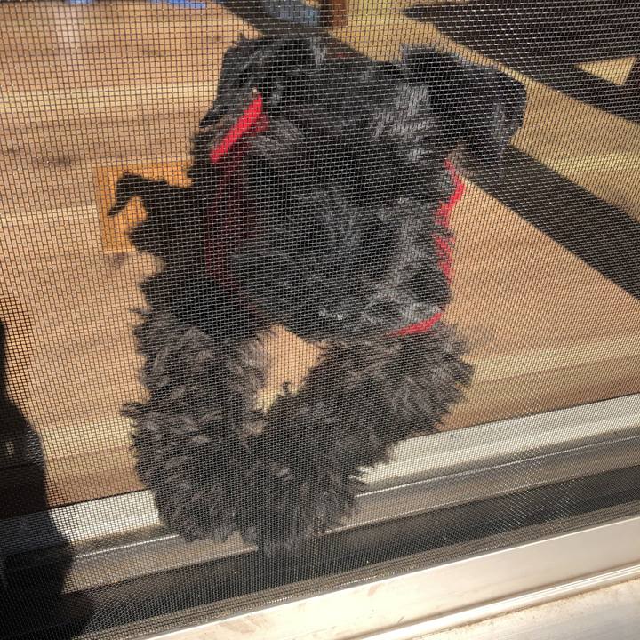 5700d89c 8ad5 49fe 9813 1e761fd90eaa 1550366590102