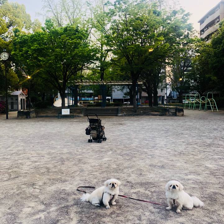 5700f369 c252 47c3 b864 1b3ca2460968 1588735649664