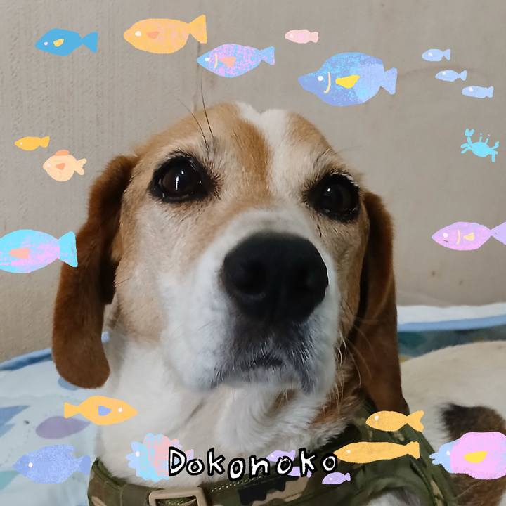 57010d81 0d3c 41eb 844d 79c115396178 1755434323355