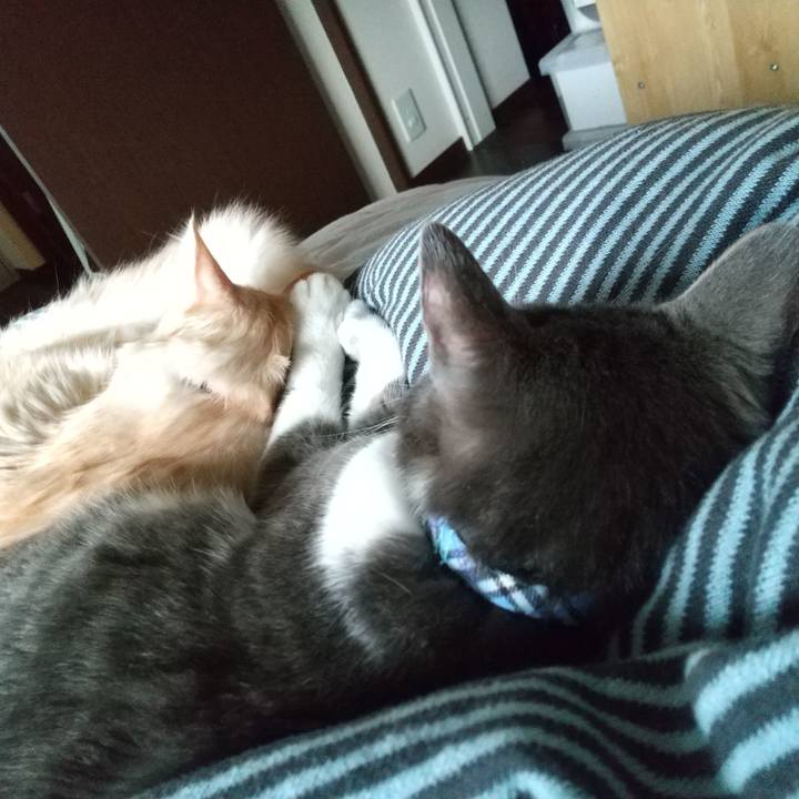 57011fc4 6e40 464a 92c9 2ae918a5eca5 1616283056518