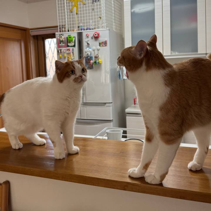 5701206c 01fe 479c be28 ff4f3afa82a4 1769480594872