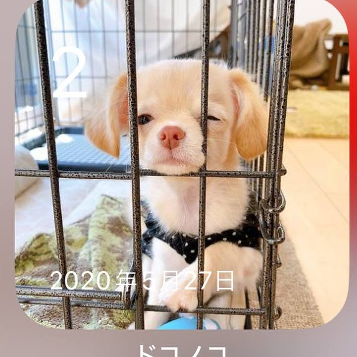 5701536f ceca 4f12 bf25 e947ae91bc55 1717329029220