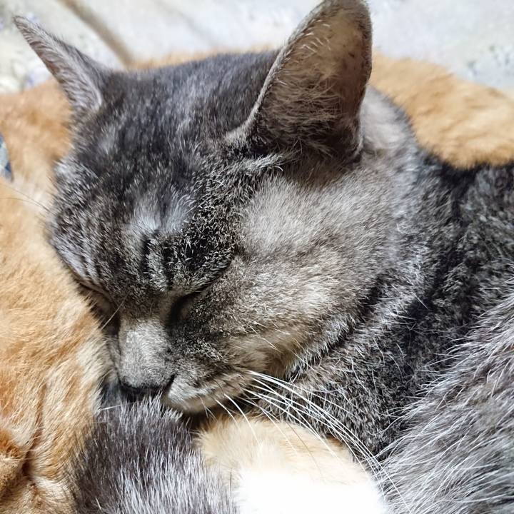 570178df 04c7 4763 ac70 11e3f4d2fc7a 1606829406425