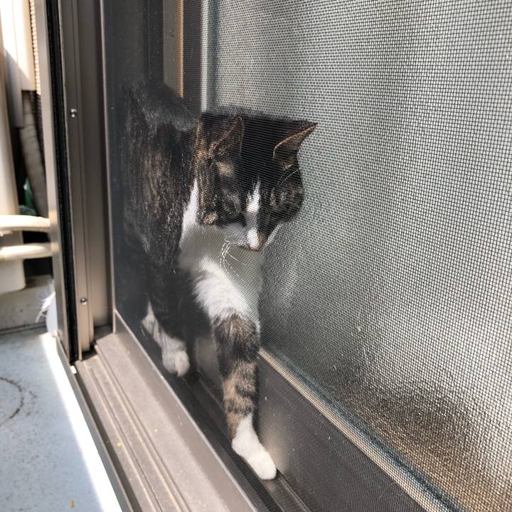 5701820d a346 424f b04c 0332c1a95318 1522123329987