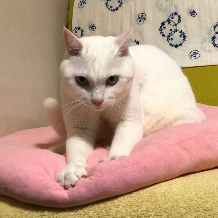 57018d25 18cf 4c2b 93ef 6b1544c3085f 1571144296248