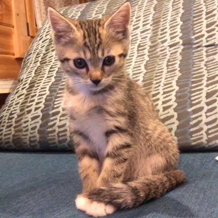 5701e1ae 9fdc 428d 92cf dbc5aa5725cb 1542031148473