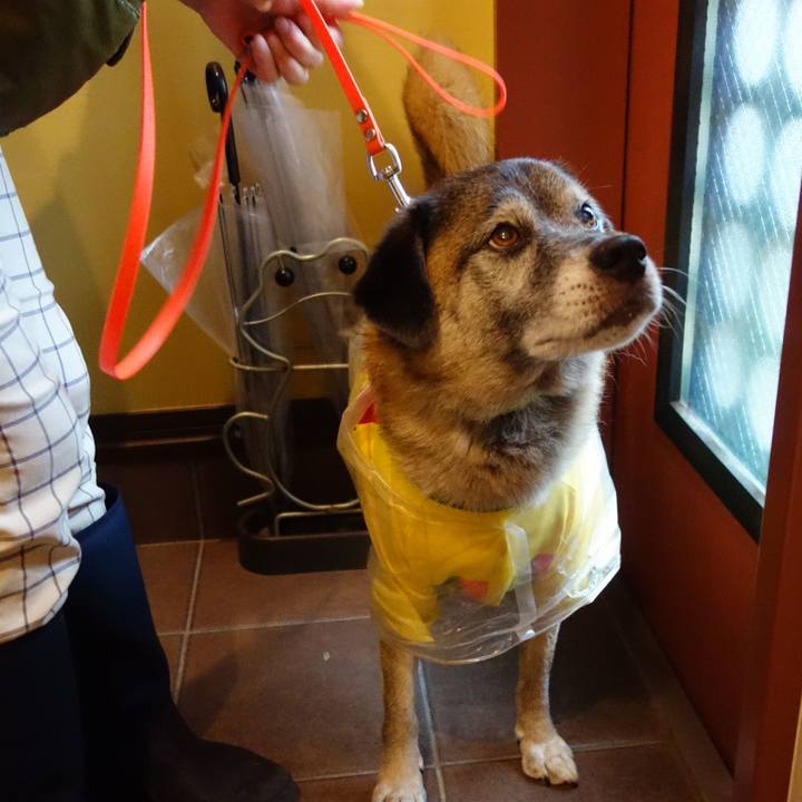 5701e445 20ac 45bd b0fb d62c579026c4 1568594393327