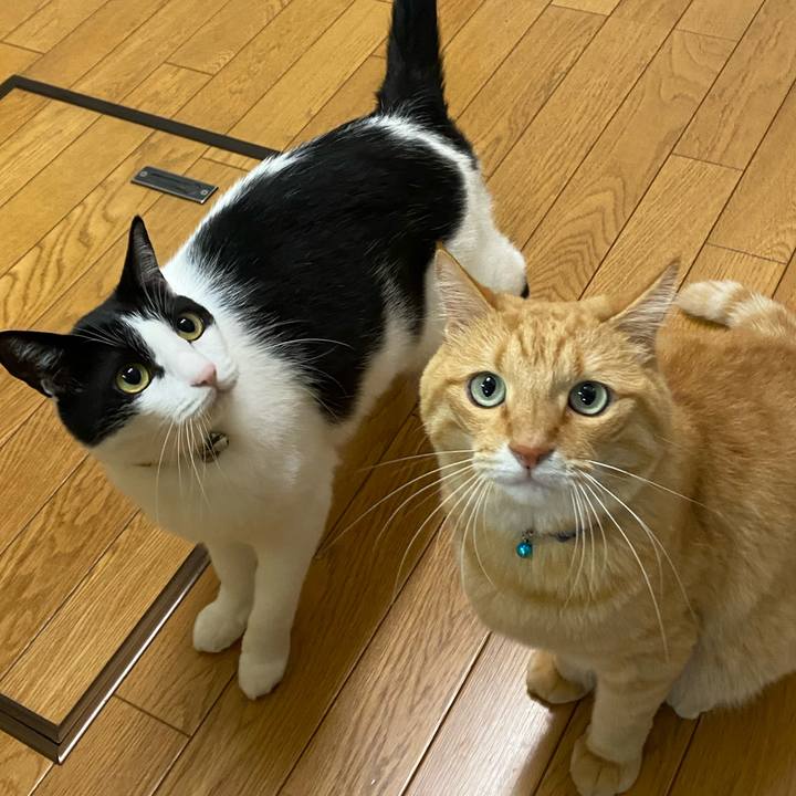 5701e8eb 94b2 464c 97d0 caa60b6ffee1 1603323555678