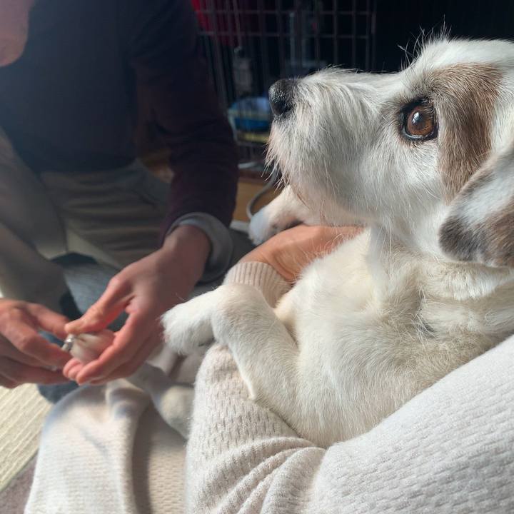 57020cda 919f 4d7d b8c0 c95818c6139f 1582420310306