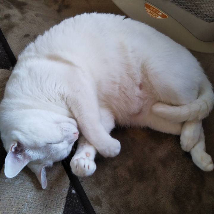 57023866 f20e 43a7 b78c 9f1f567d0f7d 1549426563371