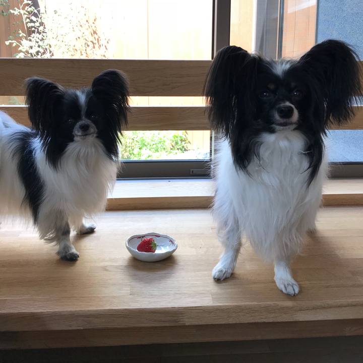 570245b6 ad61 421d a3cf c080202a643c 1523332296326