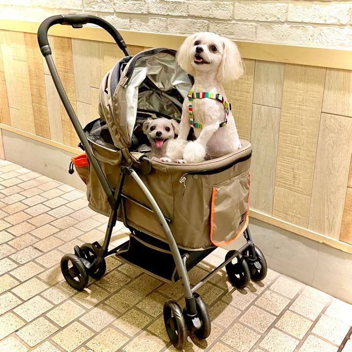 570286fb 1ecb 4a43 9bf7 7913f9f08b56 1630034413420