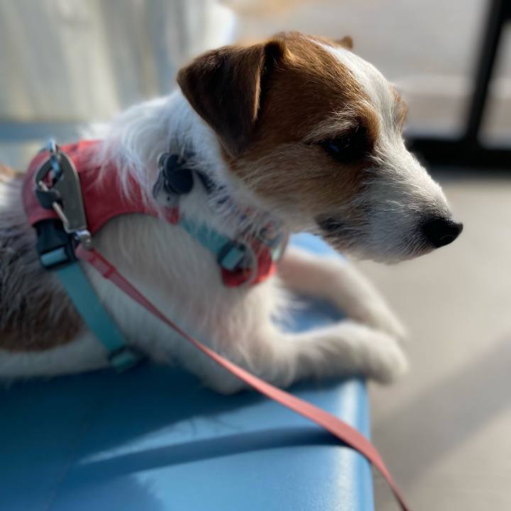 5702bab6 3897 43dd b891 cc68a4f03ac6 1705111105759